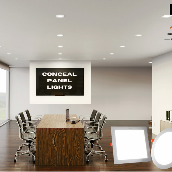 CONSEAL PANEL  LIGHTS